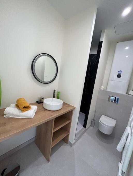 Le Studio Jardin D'Eden Metro Palais De Justice Apartment Toulouse Exterior photo